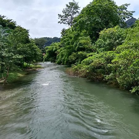 Khao Sok River & Jungle Bungalow Khao Sok National Park المظهر الخارجي الصورة