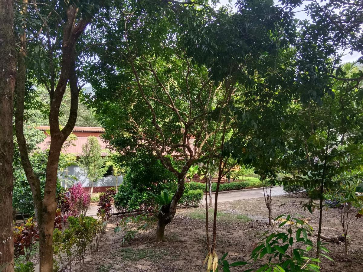 Khao Sok River & Jungle Bungalow Khao Sok National Park المظهر الخارجي الصورة