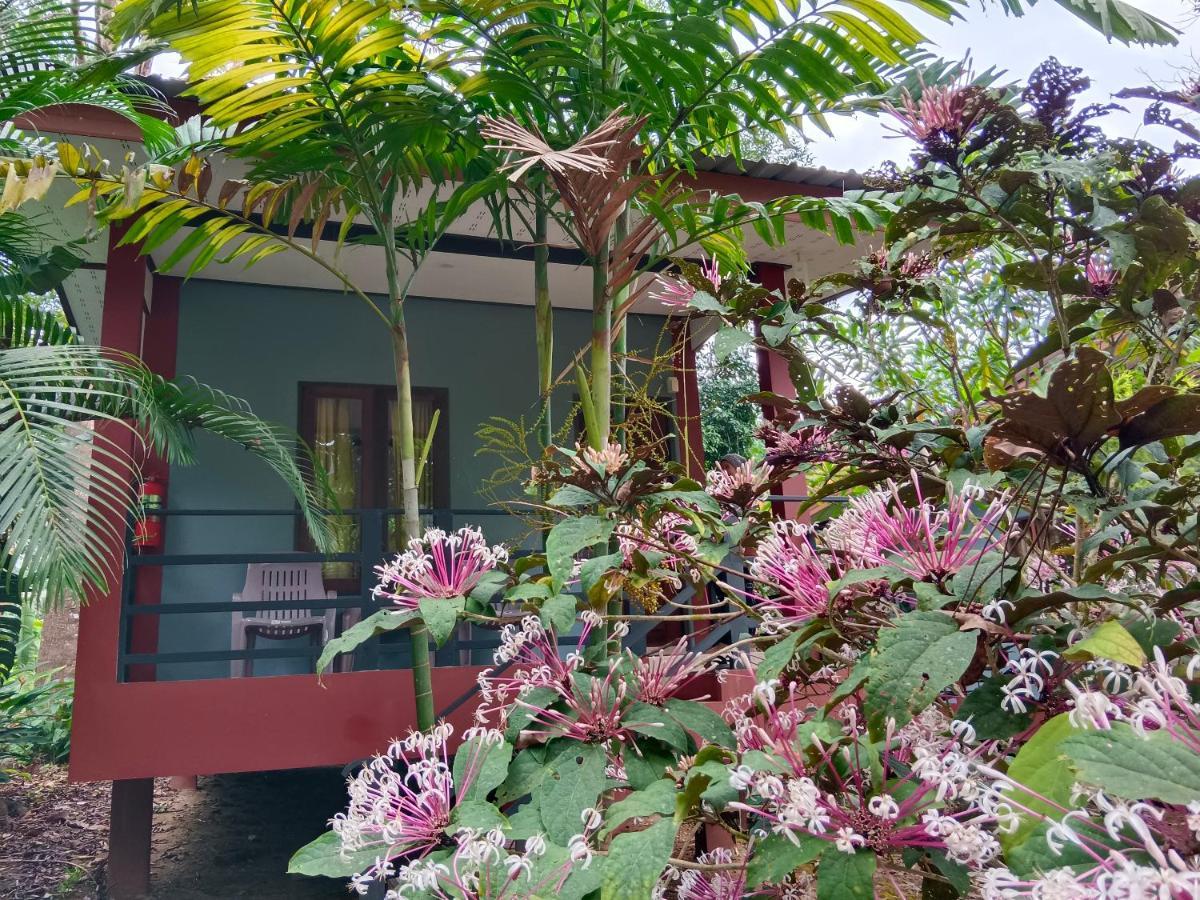 Khao Sok River & Jungle Bungalow Khao Sok National Park المظهر الخارجي الصورة