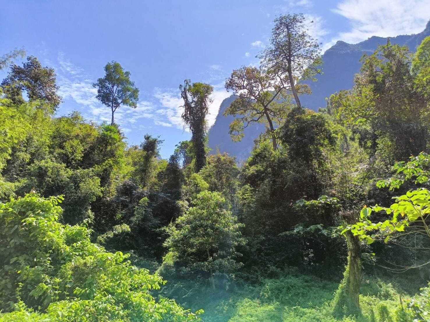Khao Sok River & Jungle Bungalow Khao Sok National Park المظهر الخارجي الصورة