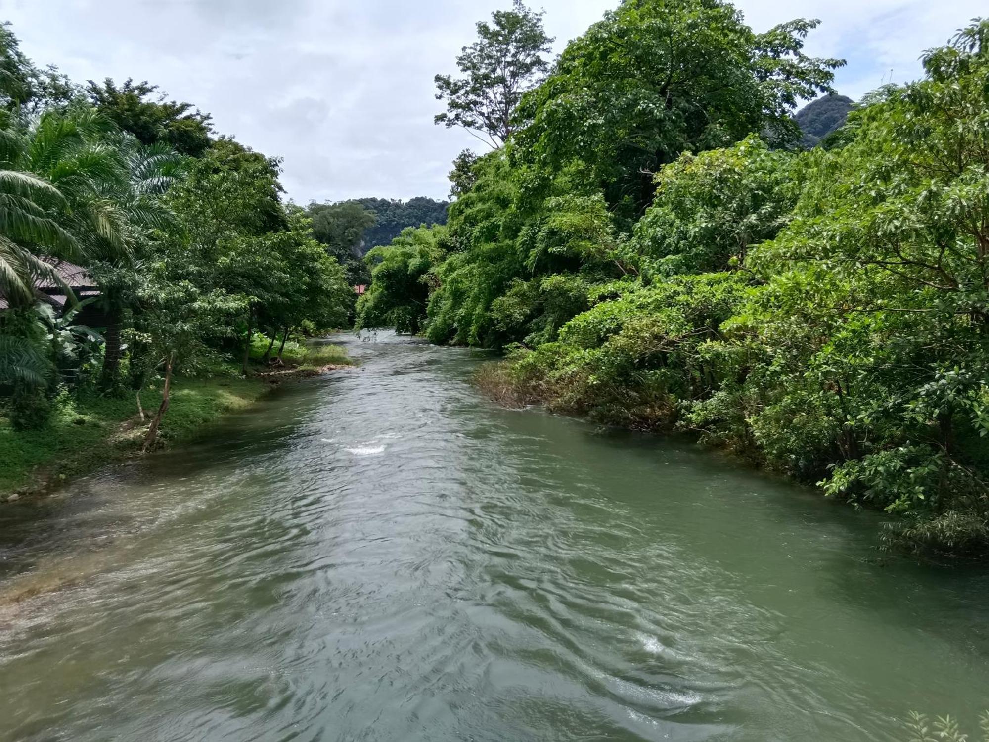 Khao Sok River & Jungle Bungalow Khao Sok National Park المظهر الخارجي الصورة
